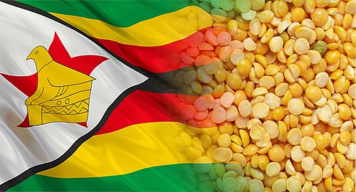 Фото и коллаж: пресс-служба ФГБУ «ЦОК АПК»